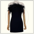 OSTRICH DETAILS MINI DRESS