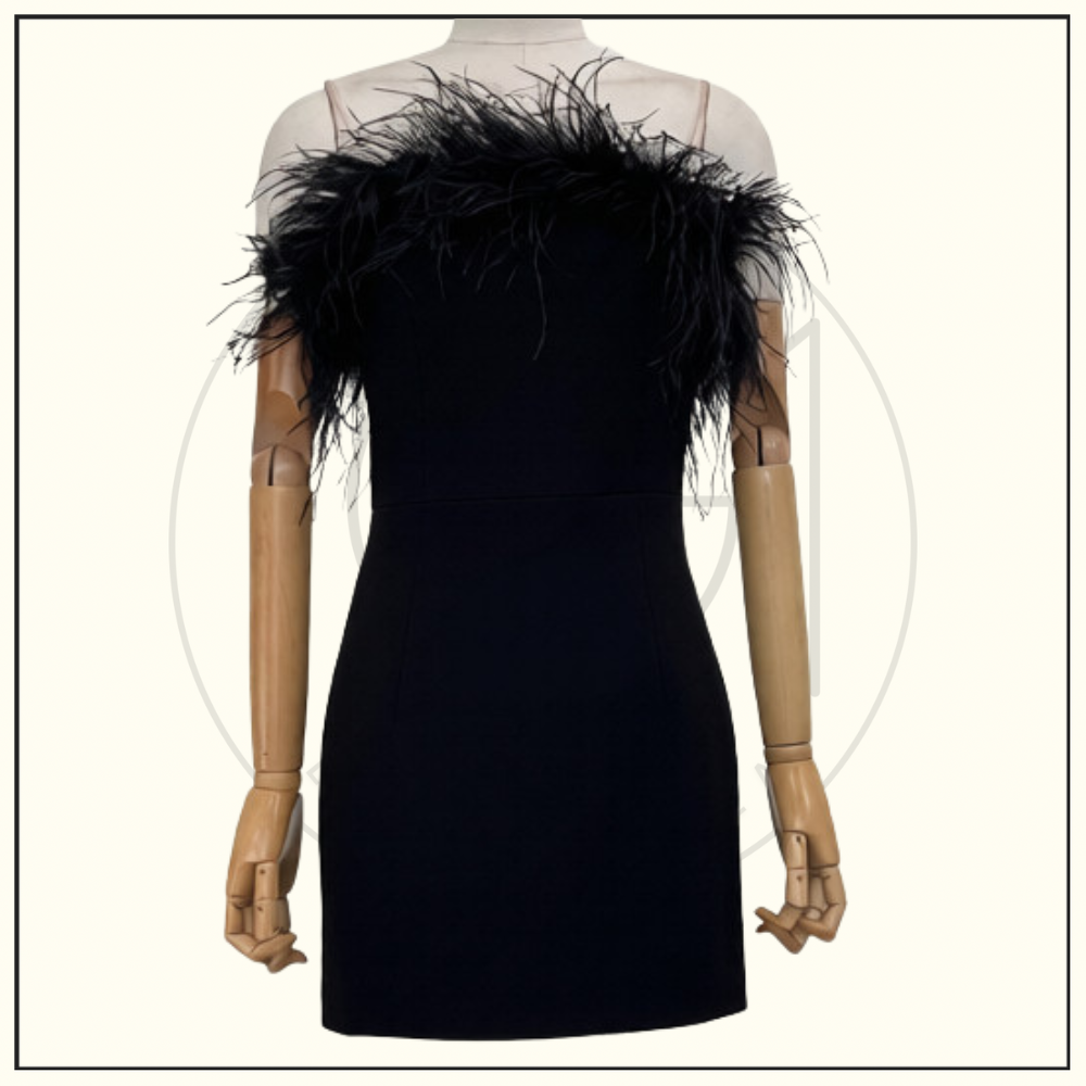 OSTRICH DETAILS MINI DRESS