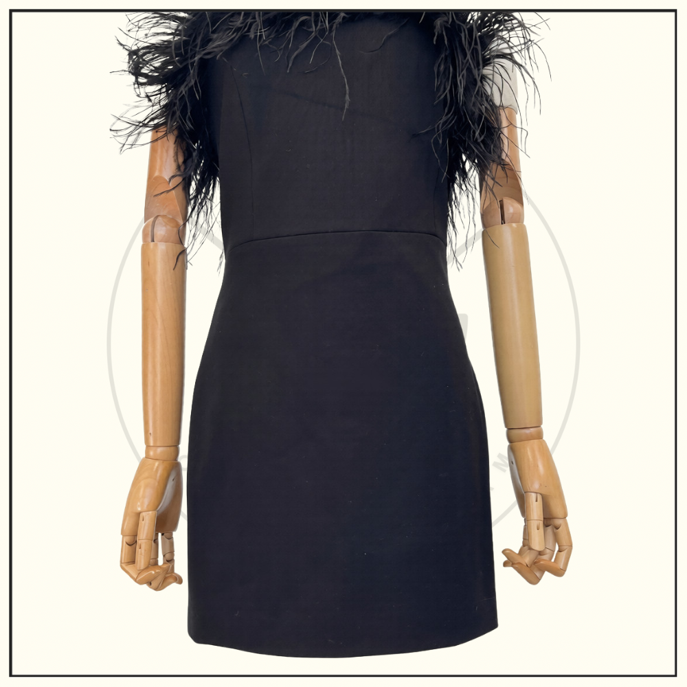 OSTRICH DETAILS MINI DRESS