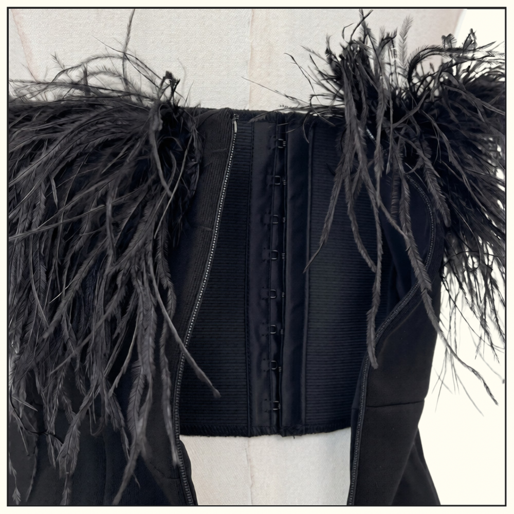 OSTRICH DETAILS MINI DRESS