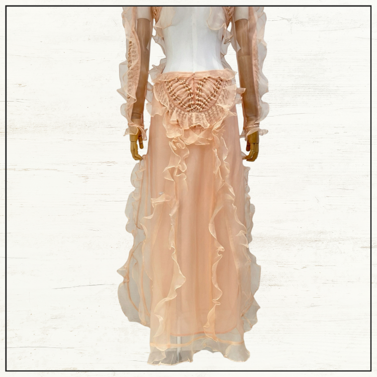 ILLUMINATE RUFFLED SILK GOWN