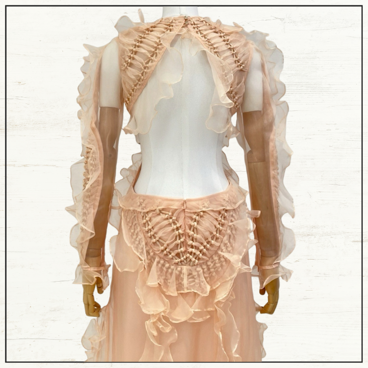 ILLUMINATE RUFFLED SILK GOWN