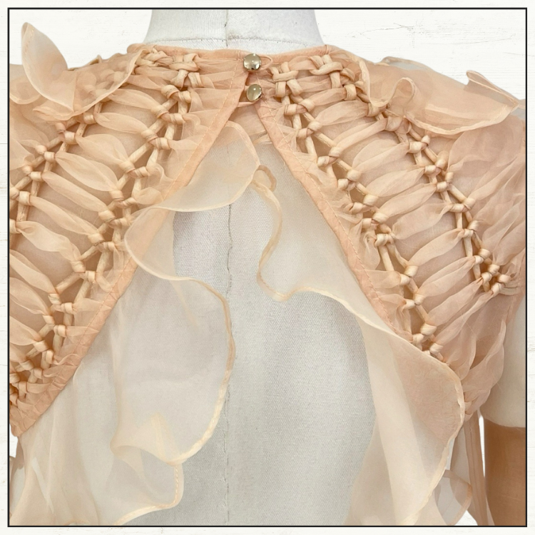 ILLUMINATE RUFFLED SILK GOWN