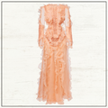 ILLUMINATE RUFFLED SILK GOWN