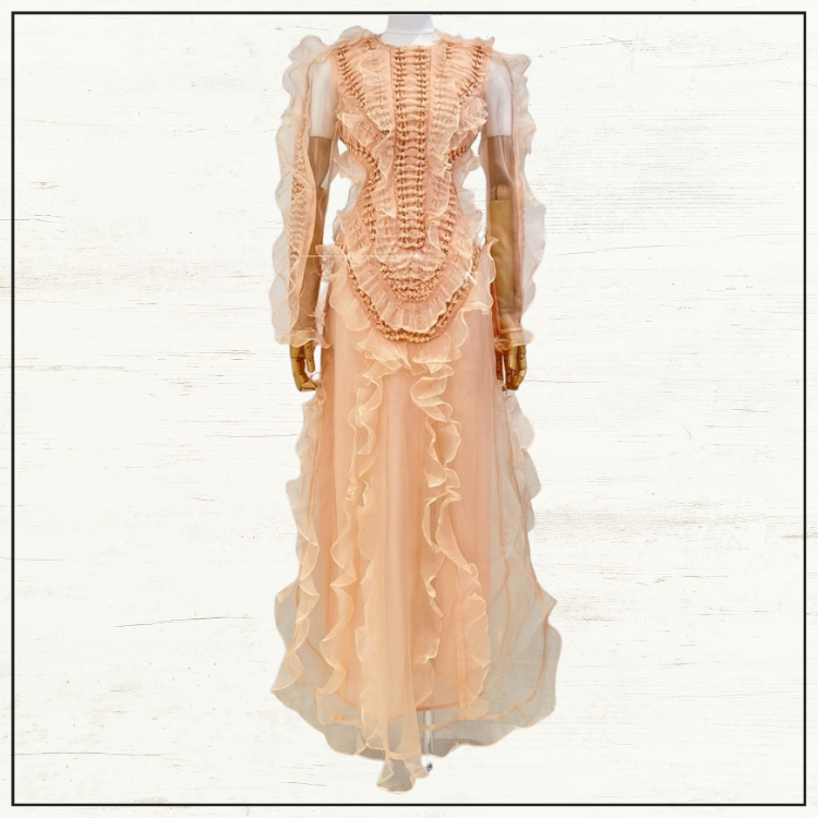 ILLUMINATE RUFFLED SILK GOWN