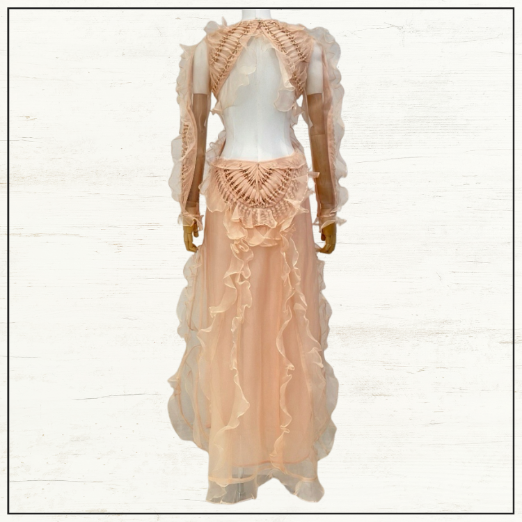 ILLUMINATE RUFFLED SILK GOWN