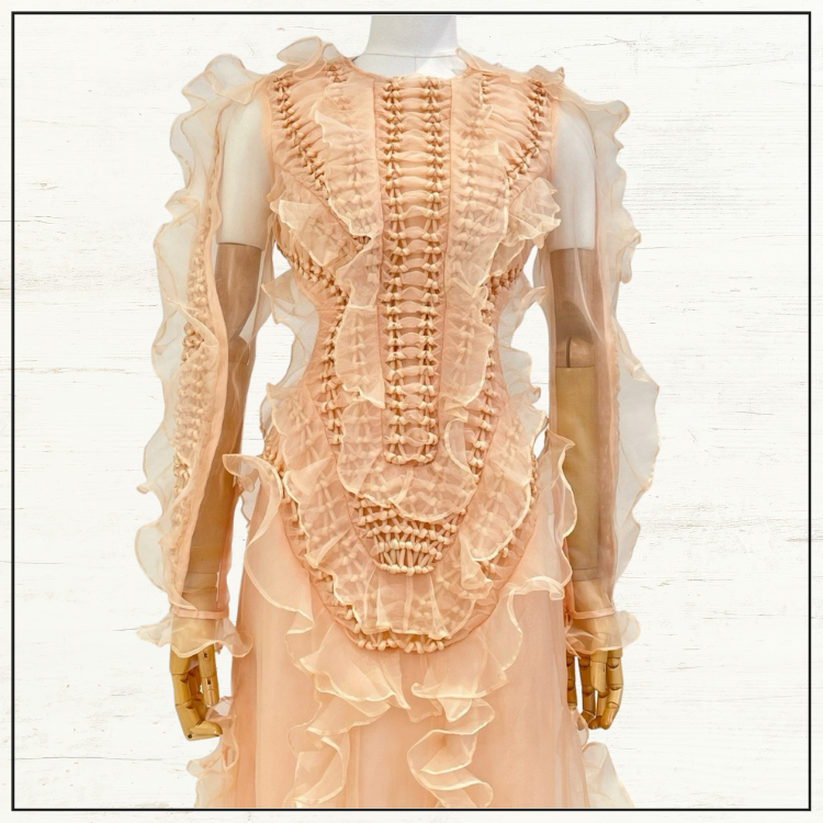 ILLUMINATE RUFFLED SILK GOWN