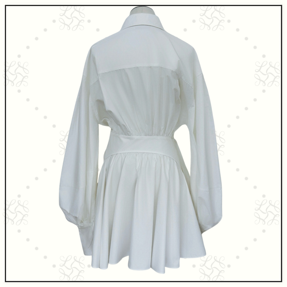 REBELLION POPLIN MINI DRESS